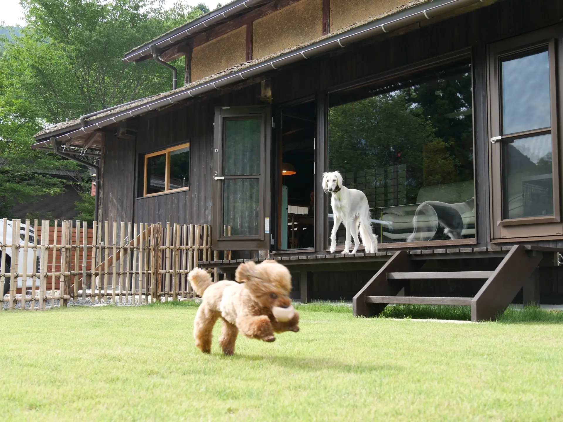 NIPPONIA 美山鶴ヶ岡 山の郷